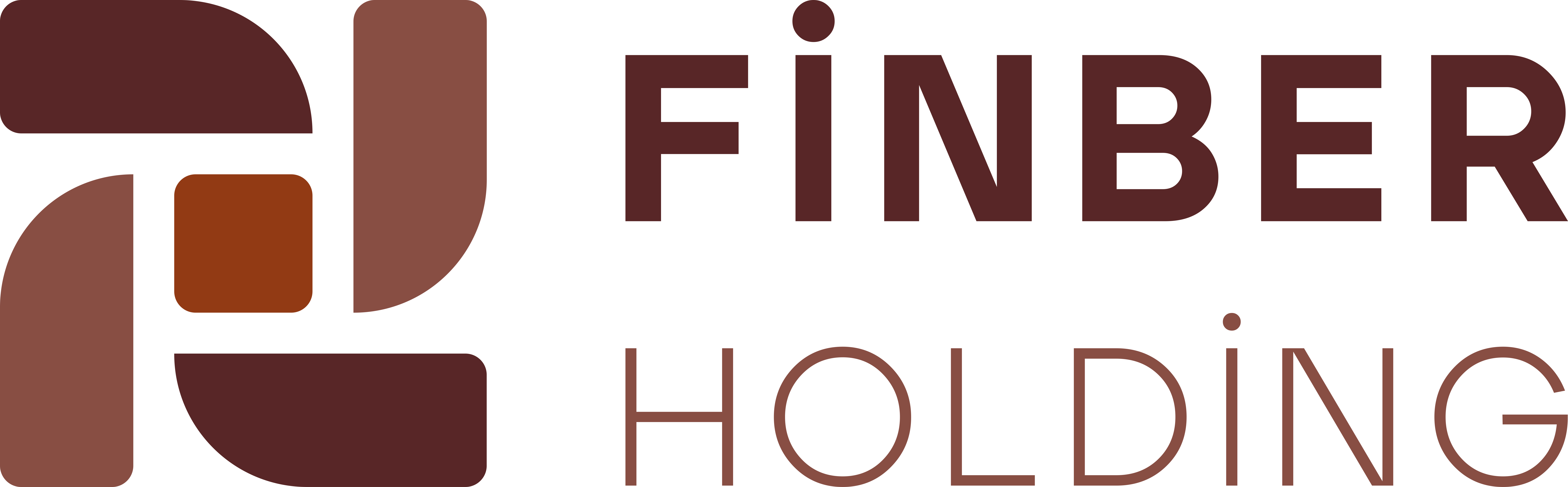 FİNBER HOLDİNG