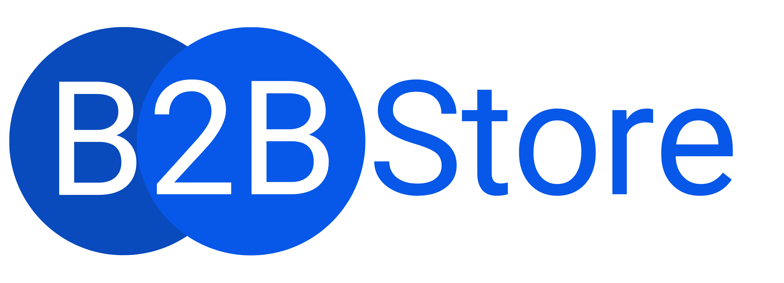 B2B STORE