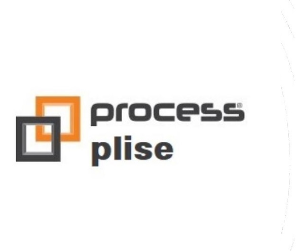 PROCESS PLİSE
