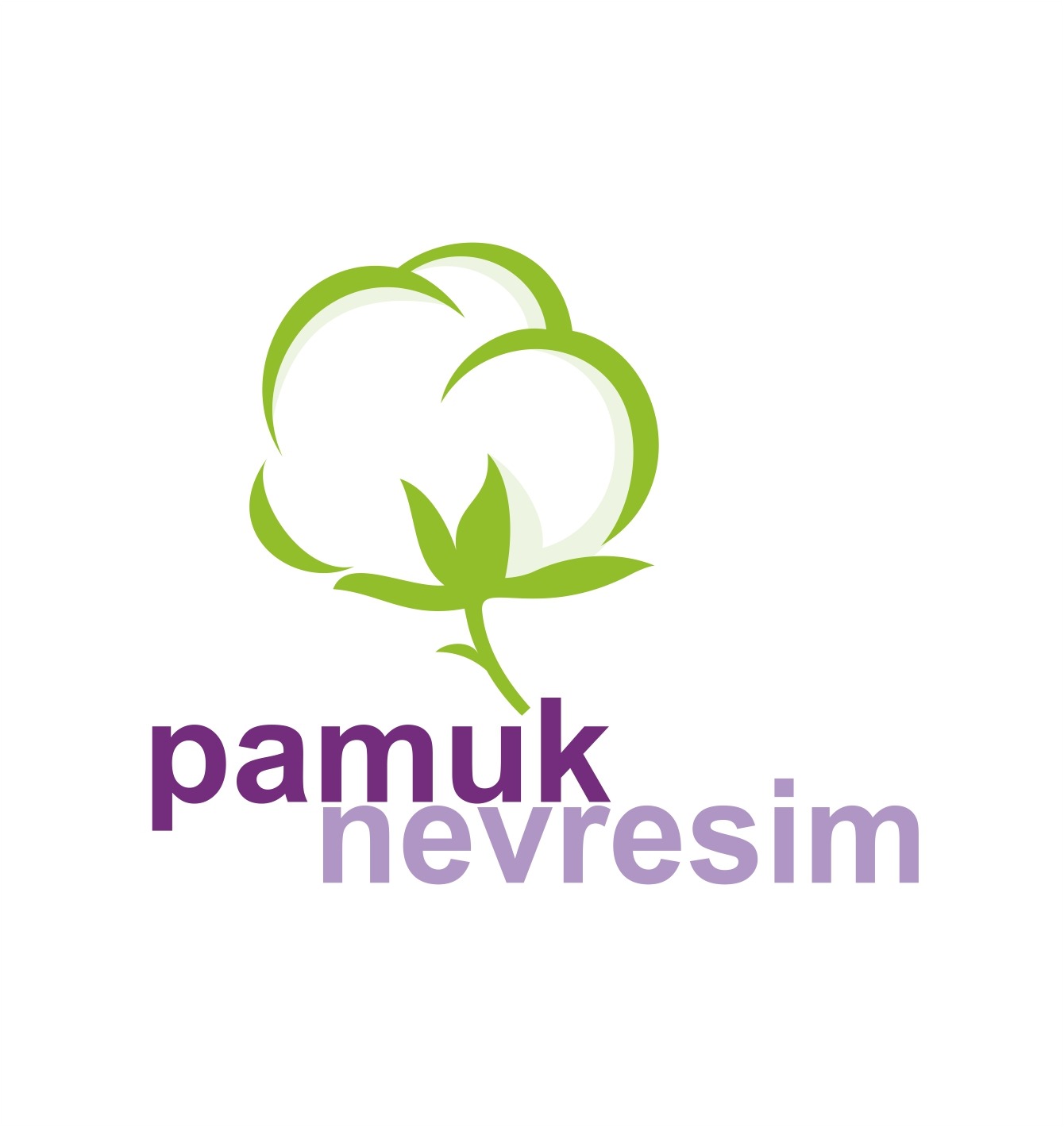 PAMUK NEVRESİM
