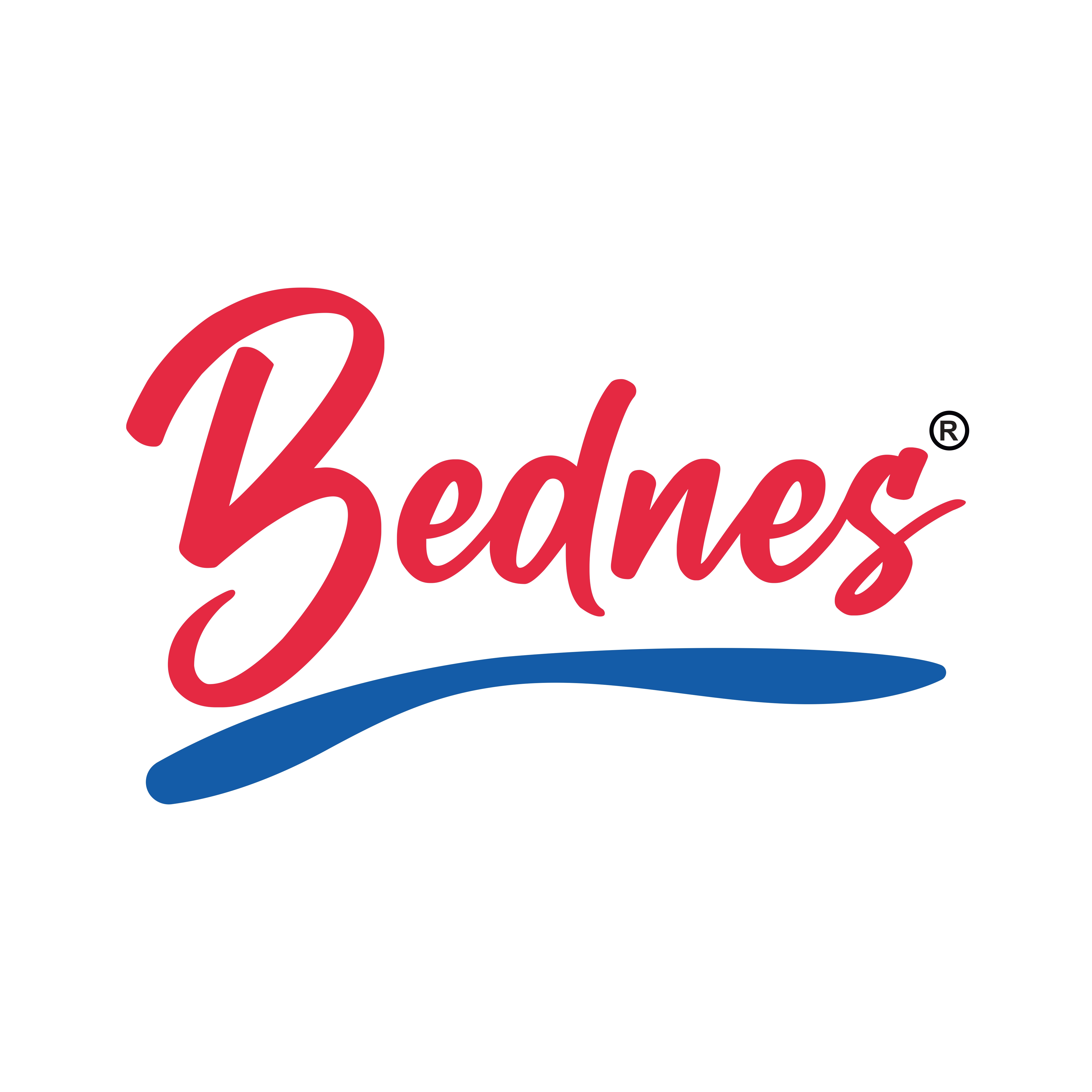 BEDNES EV TEKSTİLİ AMB. PROM. SAN. VE TİC. LTD. ŞTİ.