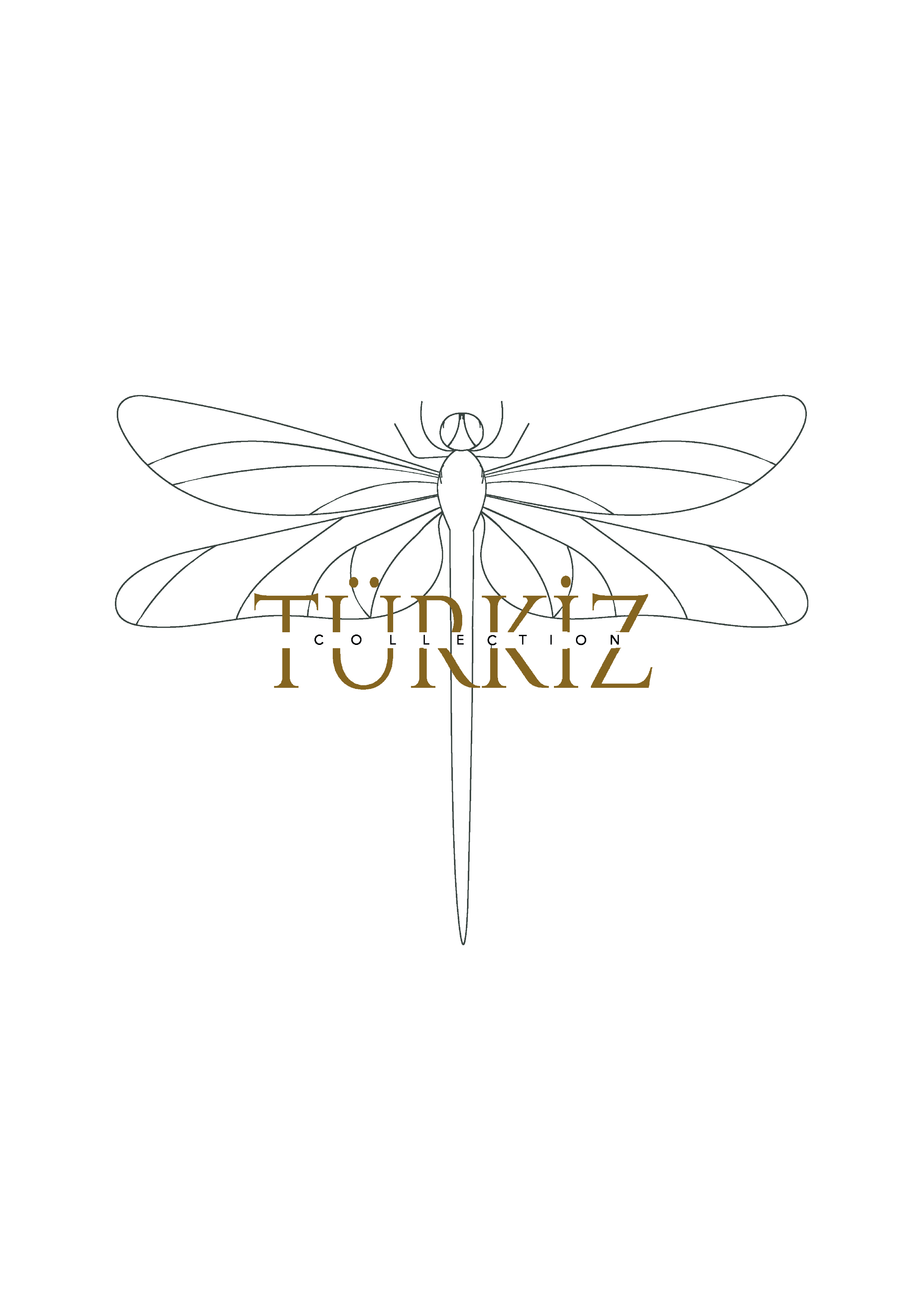 TÜRKİZ