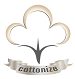 COTTONİZE